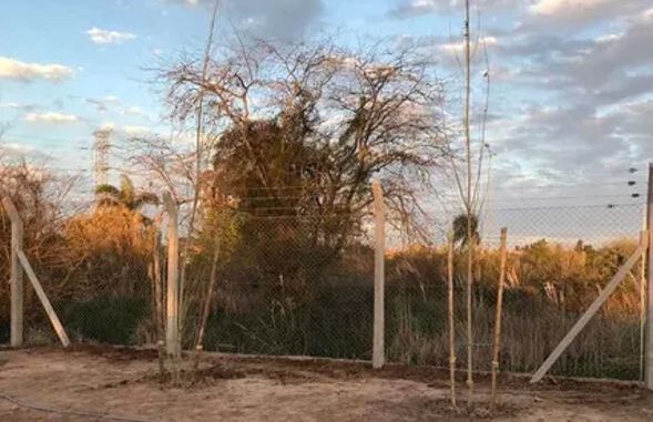 vigiladores atacados en mendoza