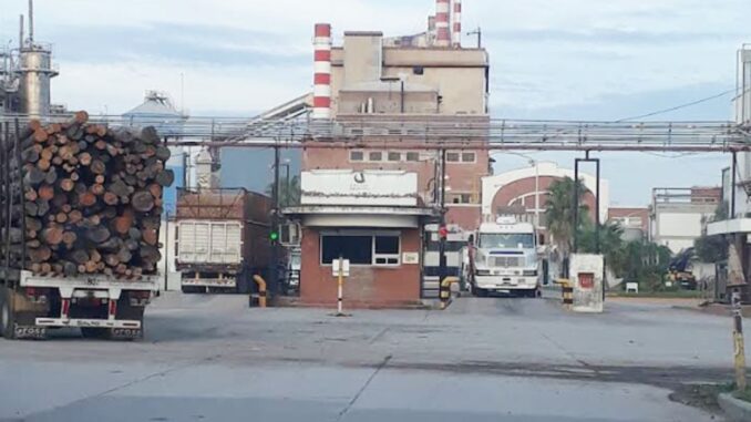 Más de 50 vigiladores de la localidad de Capitán Bermúdez mantienen un conflicto gremial debido a la falta de pago de los haberes correspondientes al mes de julio. La situación se originó por la empresa contratante, Celulosa Argentina, que declaró estar al borde de la quiebra y reconoció haber cortado su cadena de pagos a proveedores, entre los cuales se encuentra la empresa de vigilancia CVS.