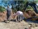 UPSRA continúa desarrollando importantes trabajos en su predio de San Nicolás. Se trata del campo recreativo “Ángel Alberto García”, un espacio destinado al disfrute de los trabajadores de la seguridad privada y sus familias, que sigue creciendo con nuevas mejoras en infraestructura.