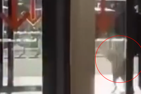 SEVERA SANCIÓN A UN VIGILADOR POR PATEAR A UN PERRO EN LA TERMINAL DE ROSARIO