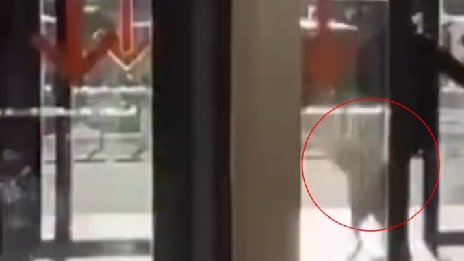 Un vigilador fue severamente sancionado luego de viralizarse imágenes en las que se lo observa pateando a un perro en la Terminal de Ómnibus de Rosario. El hecho generó una fuerte repercusión en redes sociales y despertó el repudio de vecinos y organizaciones protectoras de animales.